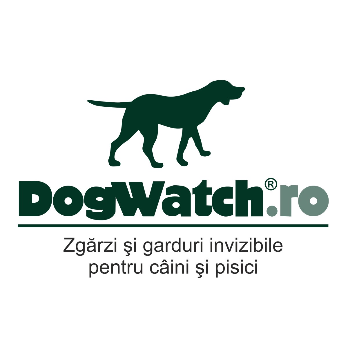 DogWatch.ro Logo