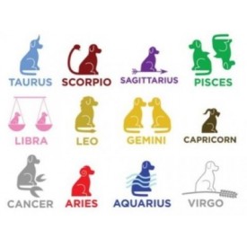 Horoscopul cainilor