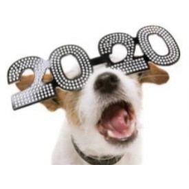 Oare câinele tău și-a fixat rezoluții pentru Noul An?