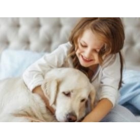 Lecturi pentru copii cu și despre câini pentru vacanța de vară