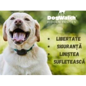 De ce produsele Dogwatch® nu sunt periculoase pentru patrupedul tău?